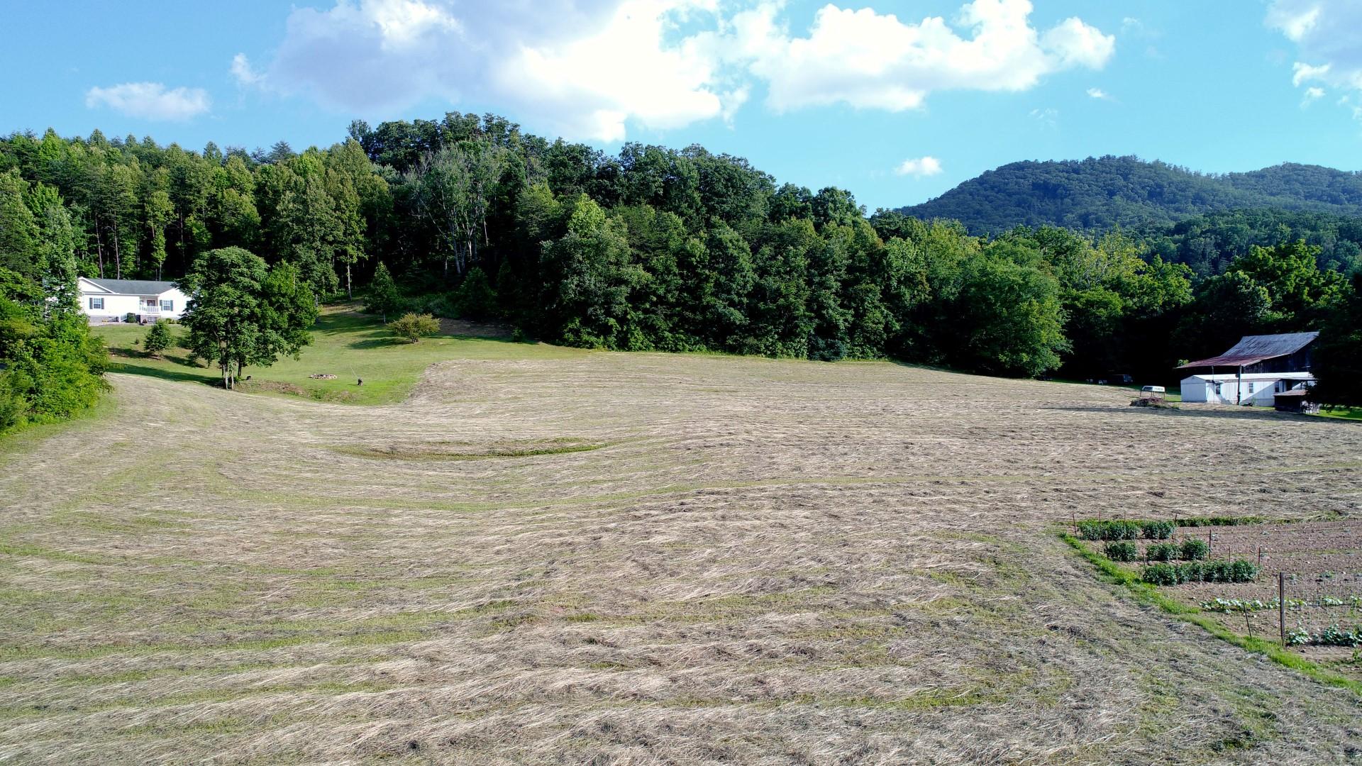 1.12-acres Trentham Road Newport, TN 37821 - Photo 5 of 19 DJI_0002