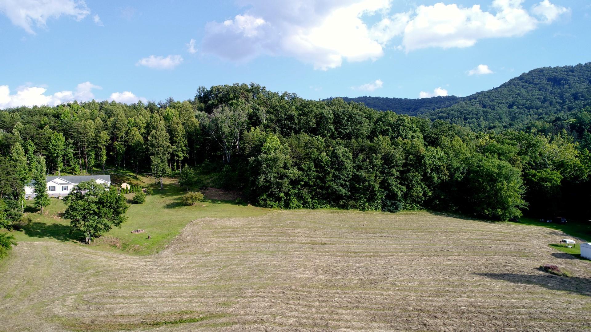 1.12-acres Trentham Road Newport, TN 37821 - Photo 6 of 19 DJI_0004