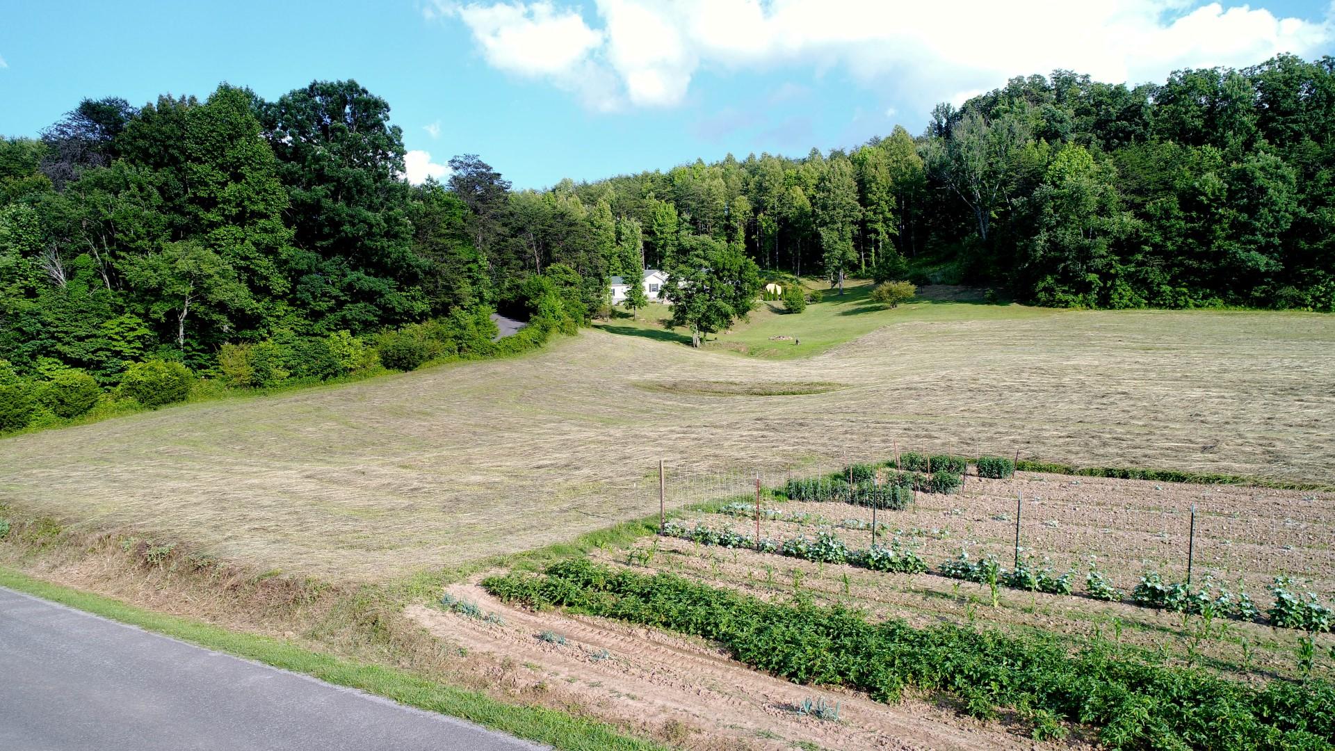 1.12-acres Trentham Road Newport, TN 37821 - Photo 7 of 19 DJI_0008