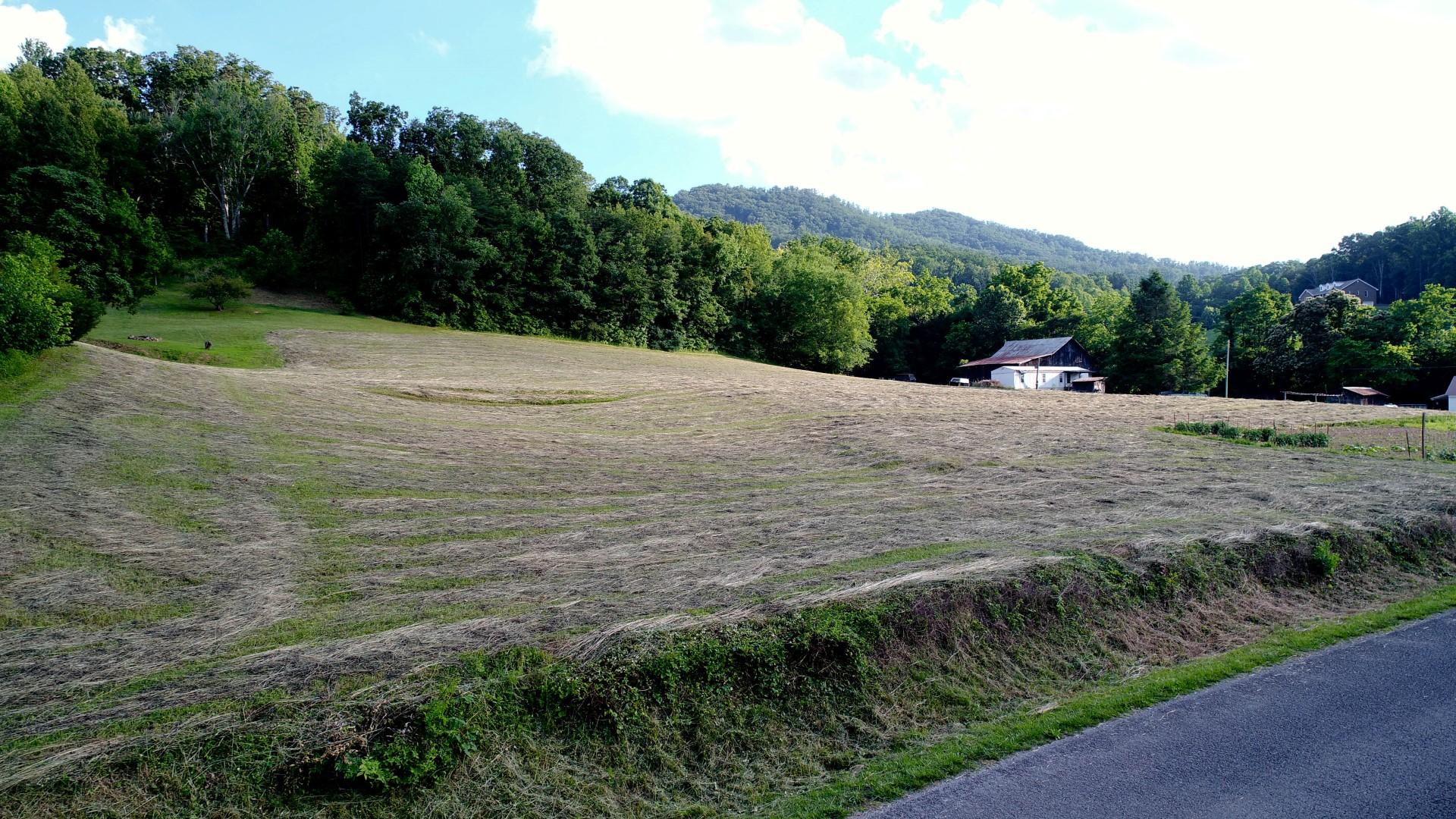 1.12-acres Trentham Road Newport, TN 37821 - Photo 8 of 19 DJI_0009