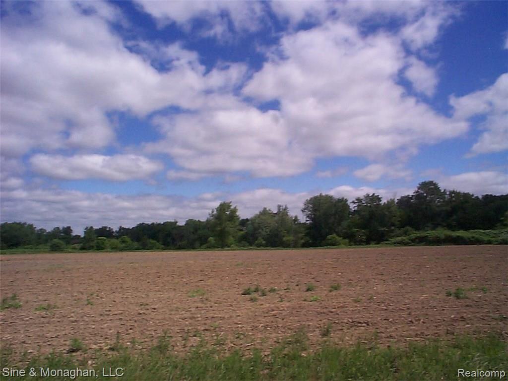 0 Belle River Road, Unit 4 Marine City, MI 48039 - Photo 1 of 4