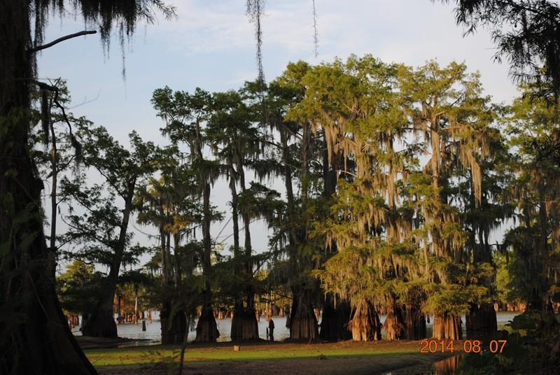 228 Dalton Ranch Road Campti, LA 71411 - Photo 27 of 30 Gallery Image 27