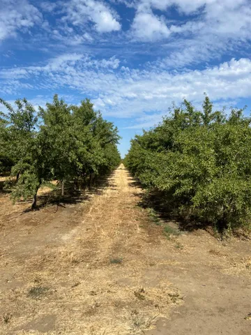 a view of a yard with plants and a bench