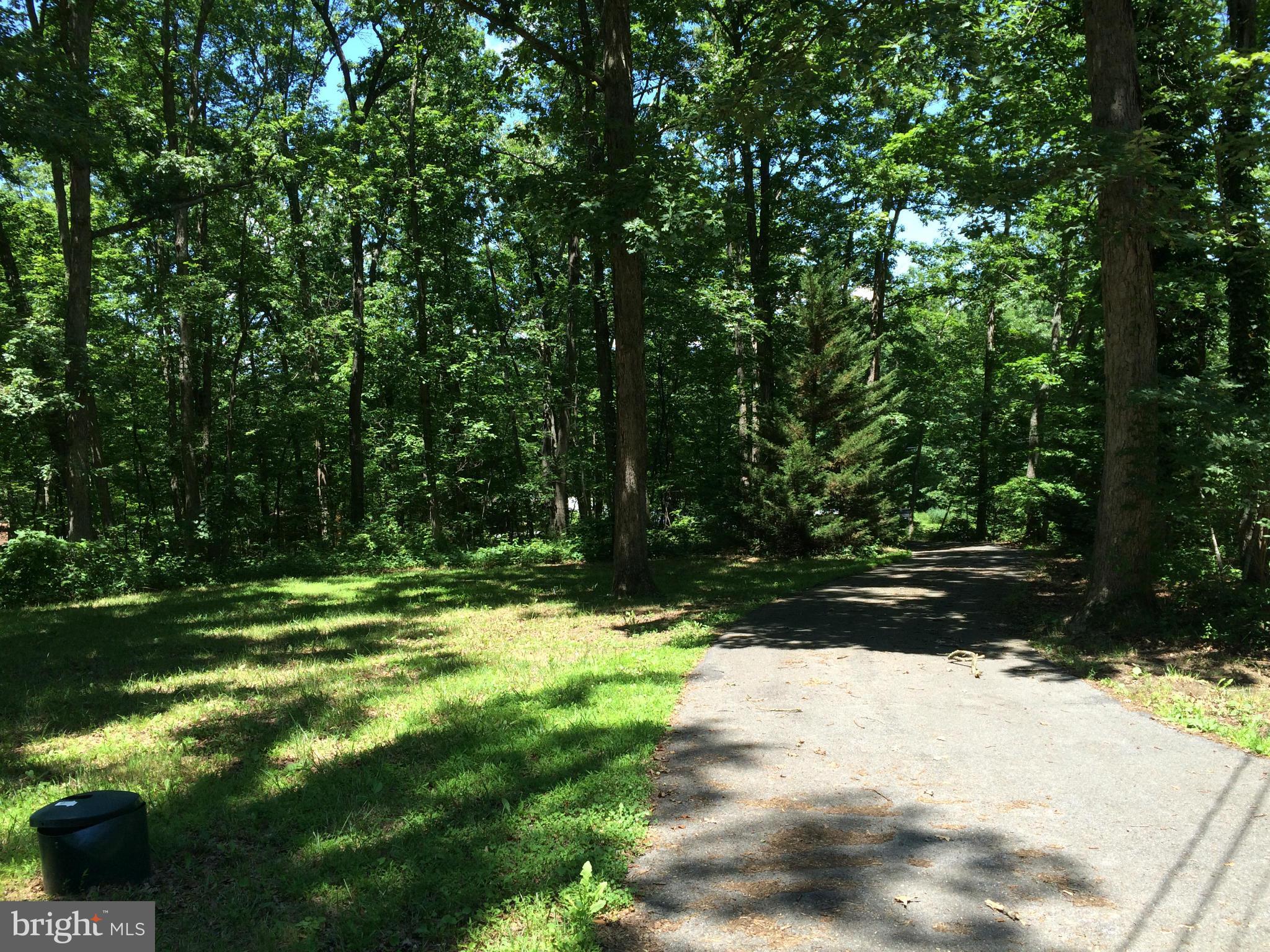 352 Manor Road Front Royal, VA 22630 - Photo 5 of 17 a view of a tree with a yard