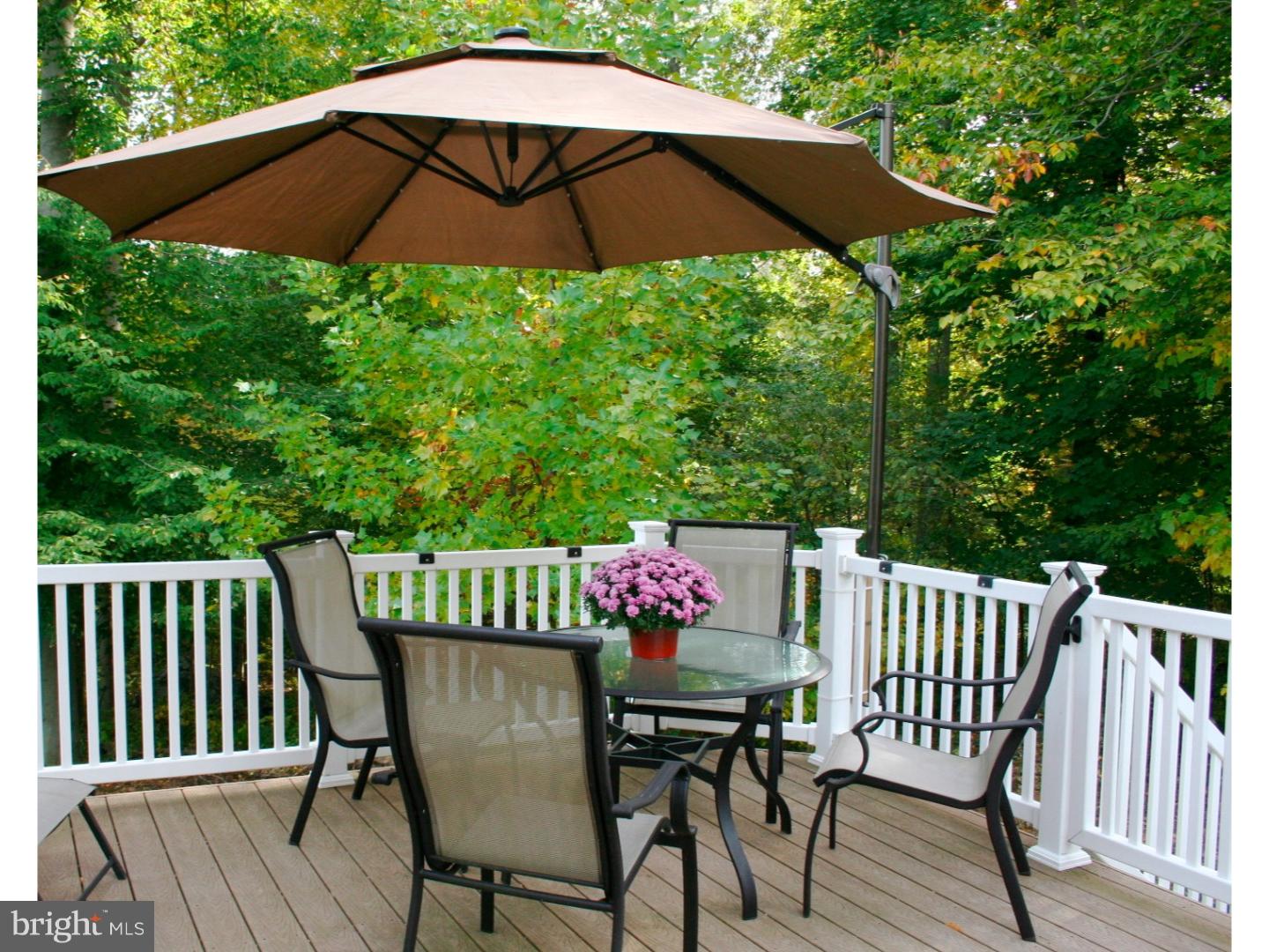 2534 Rainer Road Chester Springs, PA 19425 - Photo 21 of 25 Deck