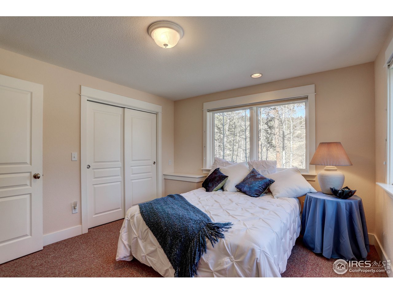 245 Coughlin Meadows Road Boulder, CO 80302 - Photo 25 of 40 BEDROOM 3 LOWER