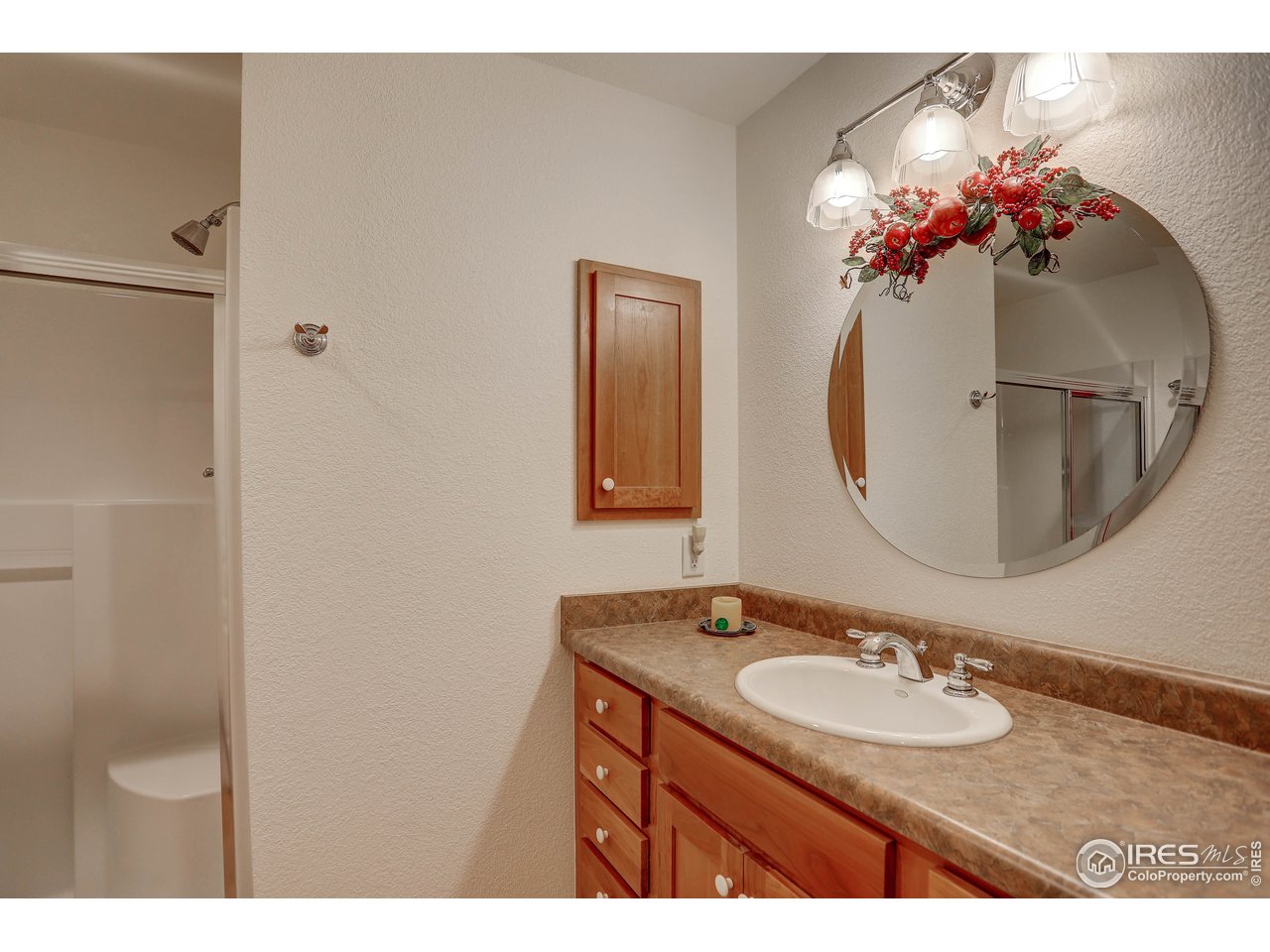 245 Coughlin Meadows Road Boulder, CO 80302 - Photo 28 of 40 3/4 BATH LOWER LEVEL
