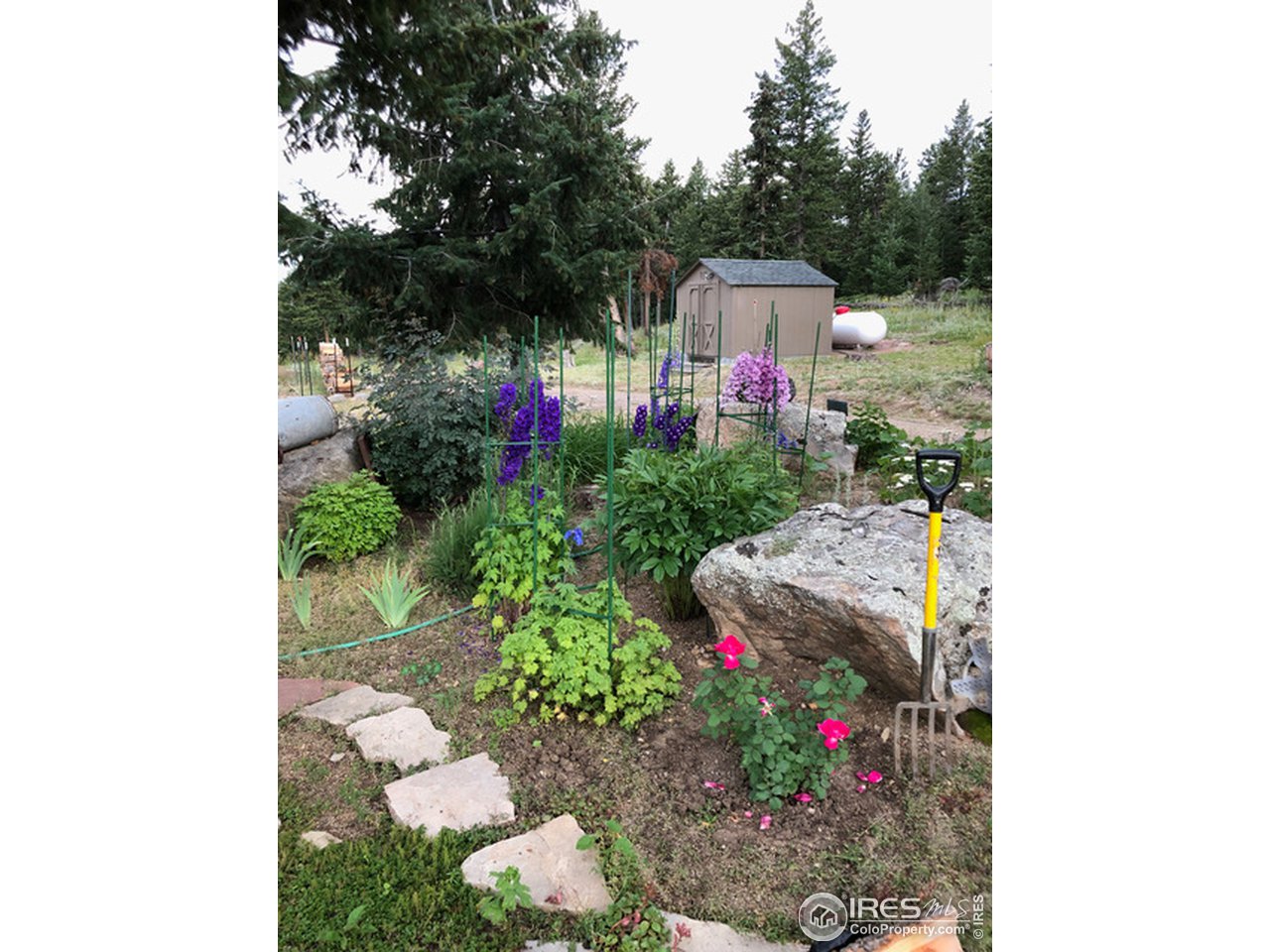 245 Coughlin Meadows Road Boulder, CO 80302 - Photo 32 of 40 GARDENS