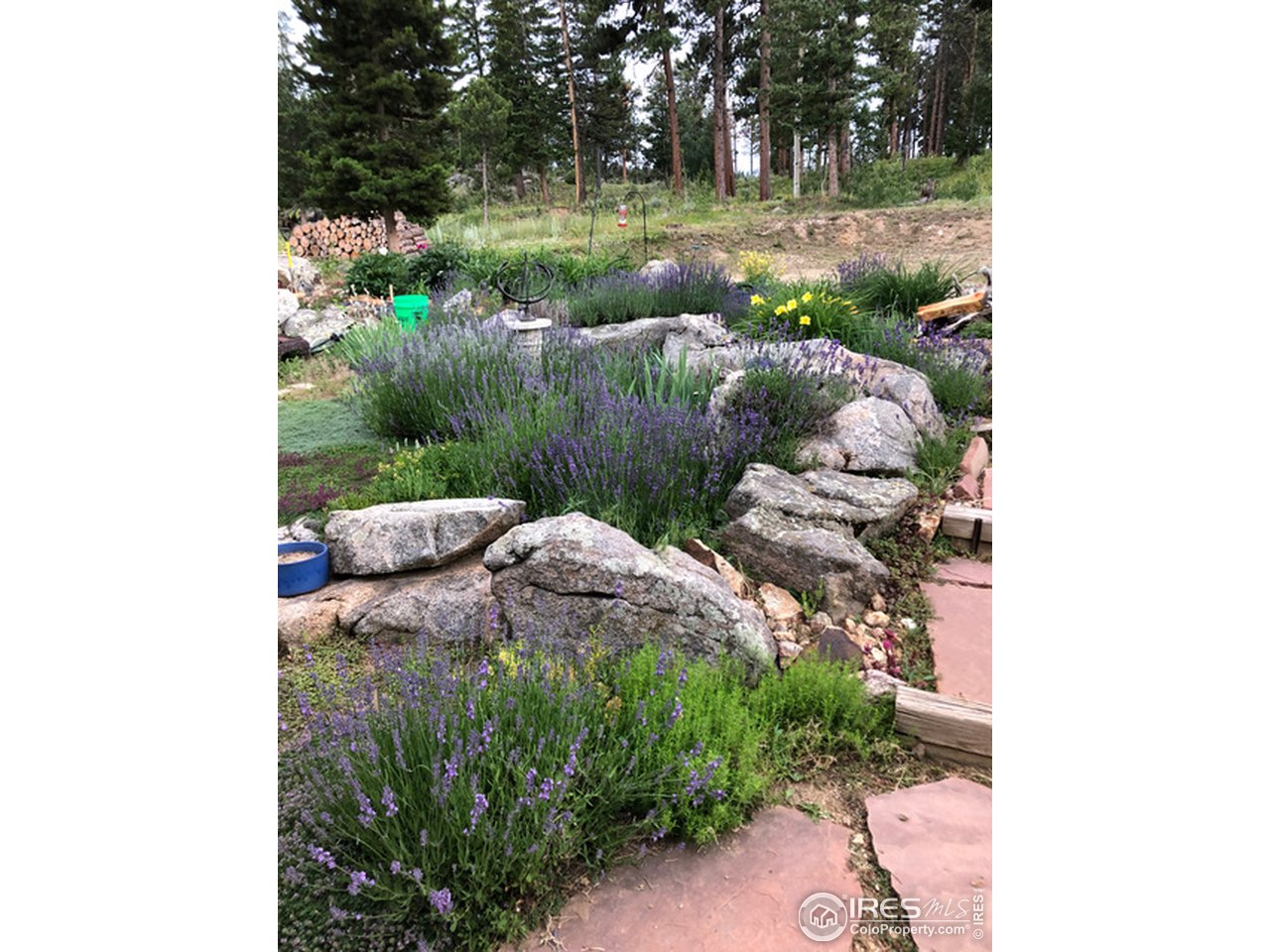 245 Coughlin Meadows Road Boulder, CO 80302 - Photo 34 of 40 LAVENDER