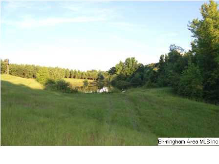 509 County Road, Unit 40 Woodland, AL 36280 - Photo 18 of 21