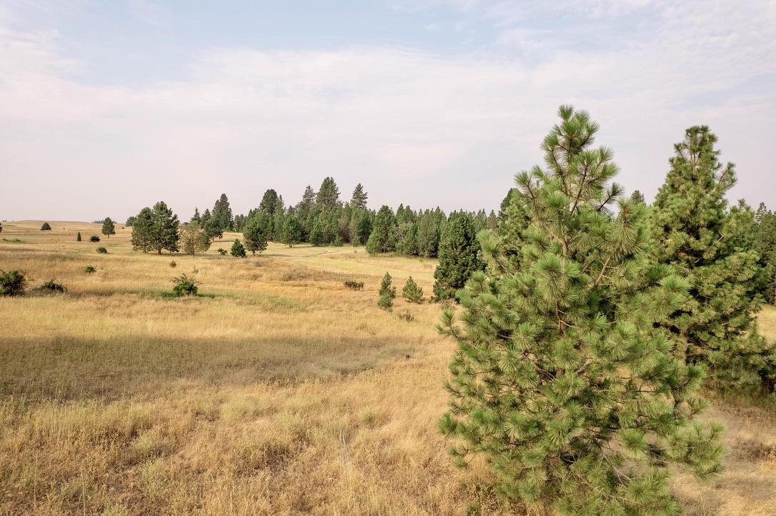 11484 South Progress Road Mica, WA 99023 - Photo 20 of 23