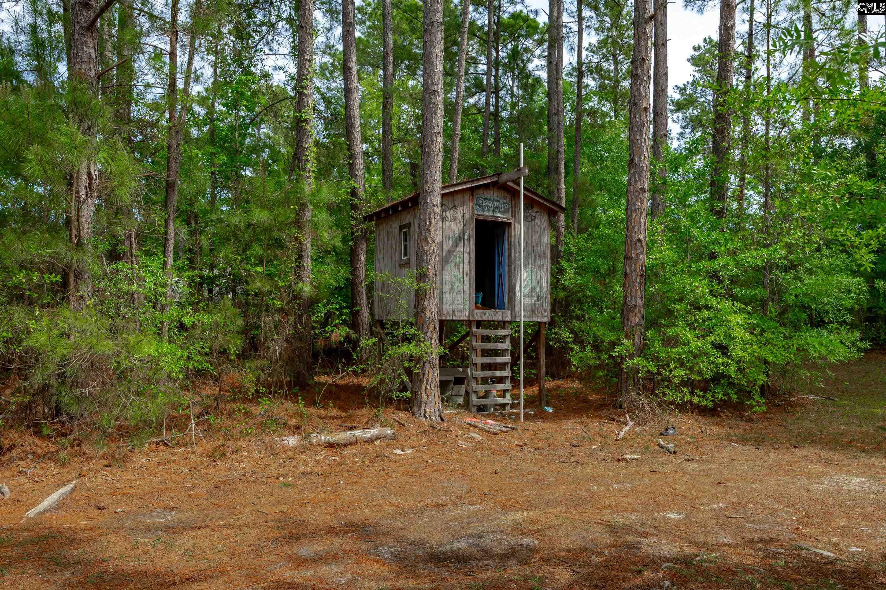 1571 Chestnut Road Elgin, SC 29045 - Photo 33 of 45