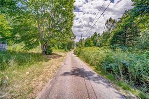 a view of a pathway both side of yard