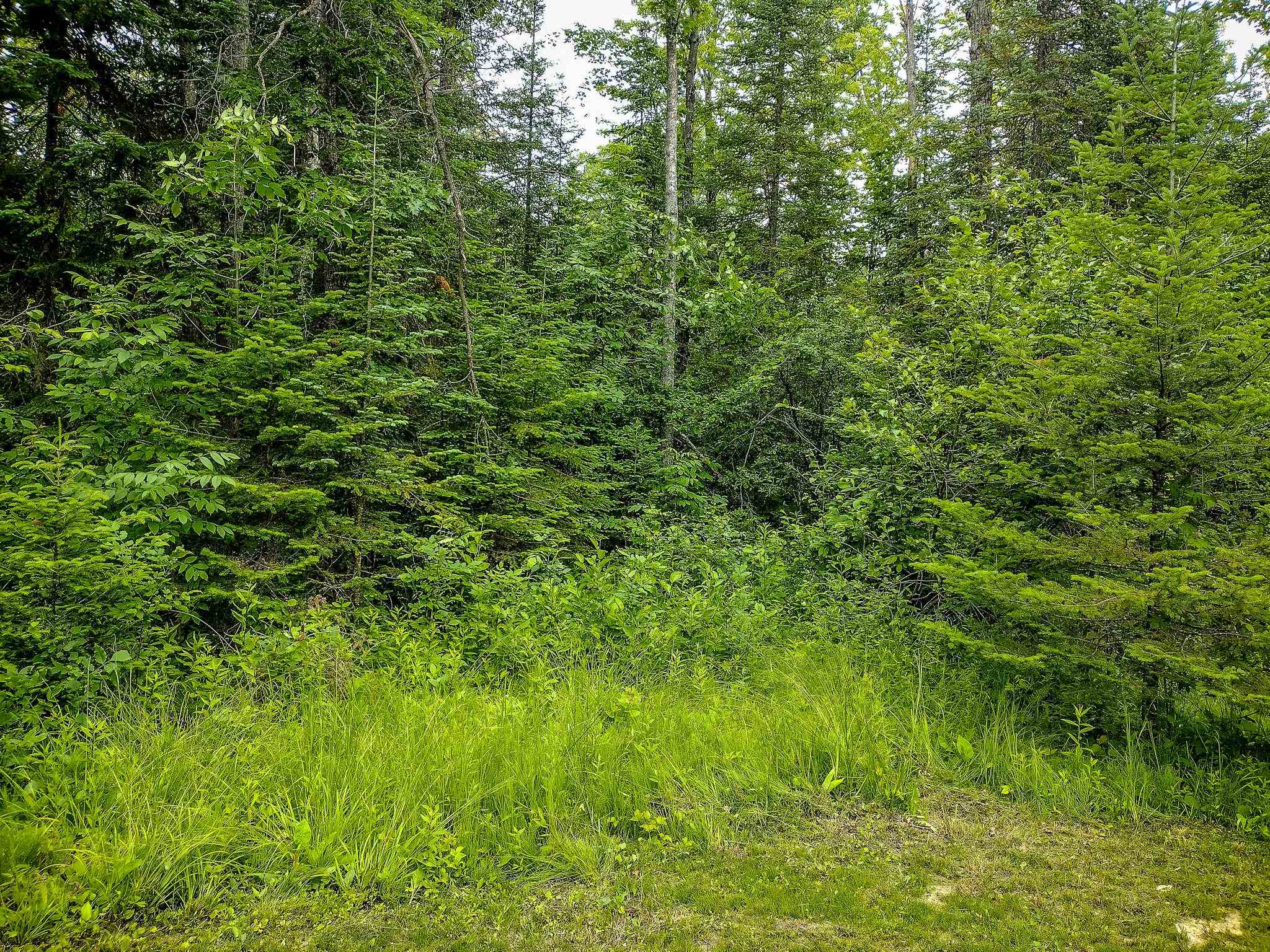 199 West Long Lake Road Harrison, MI 48625 - Photo 11 of 16