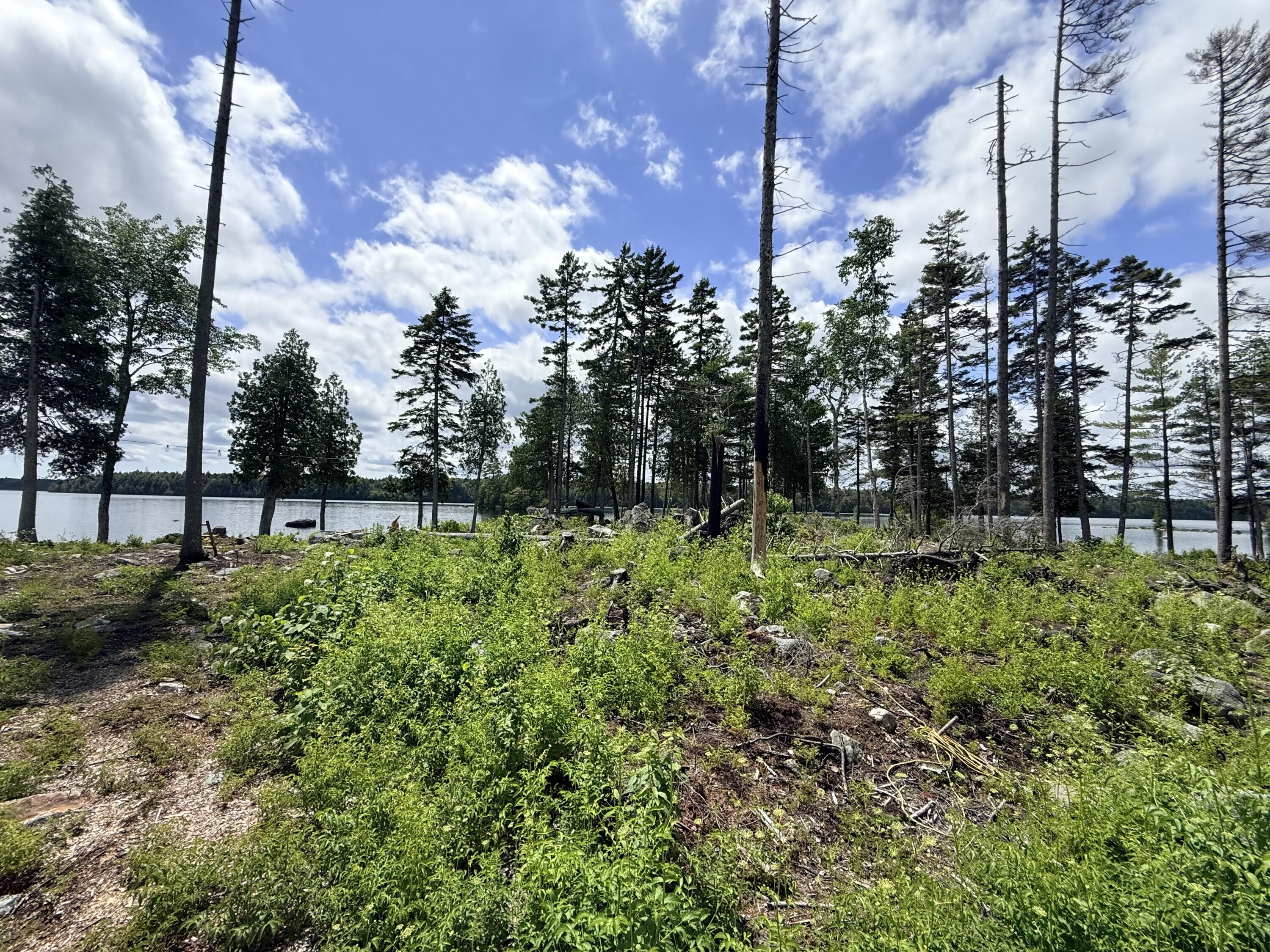 313 Birch Pt Road Cooper, ME 04657 - Photo 14 of 14 IMG_9893