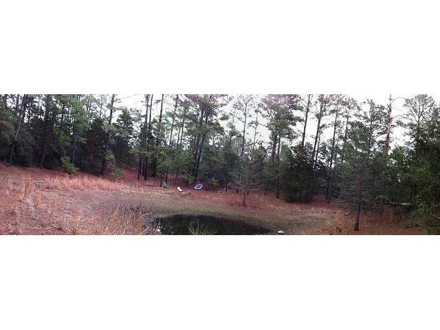 0 Barras Road Paige, TX 78659 - Photo 1 of 1 Land/Lot