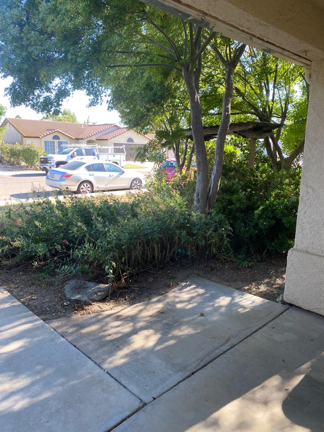 609 Merlot Avenue Madera, CA 93637 - Photo 5 of 45 a view of outdoor space and garden