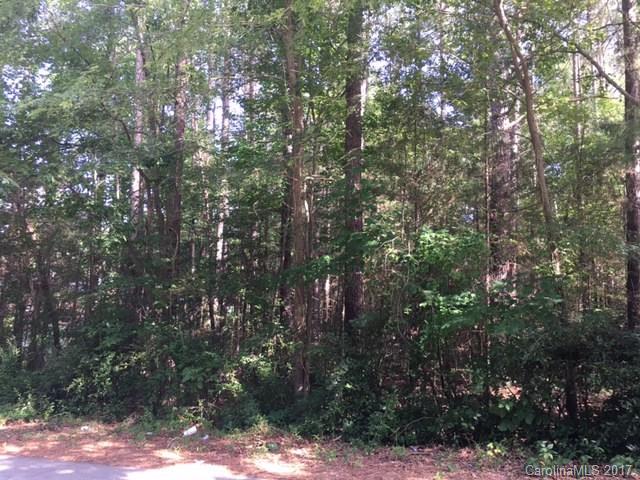 a view of forest