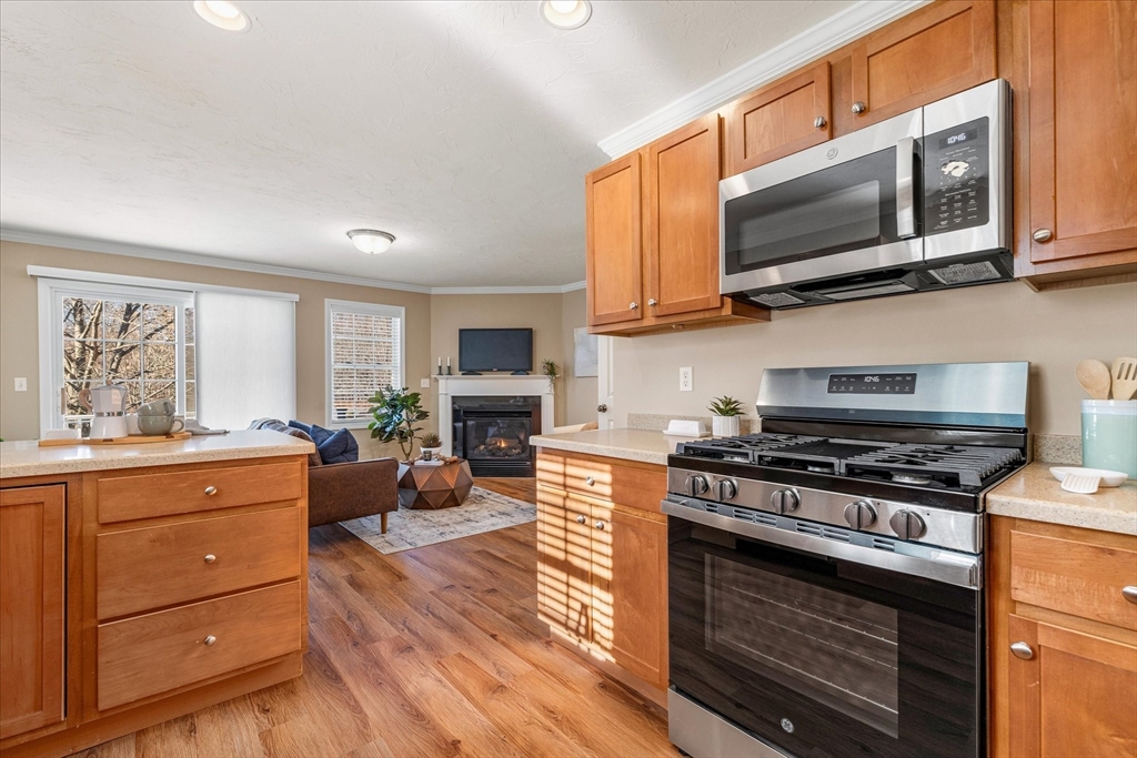 1 Juneberry Lane, Unit 82 Worcester, MA 01606 - Photo 8 of 34