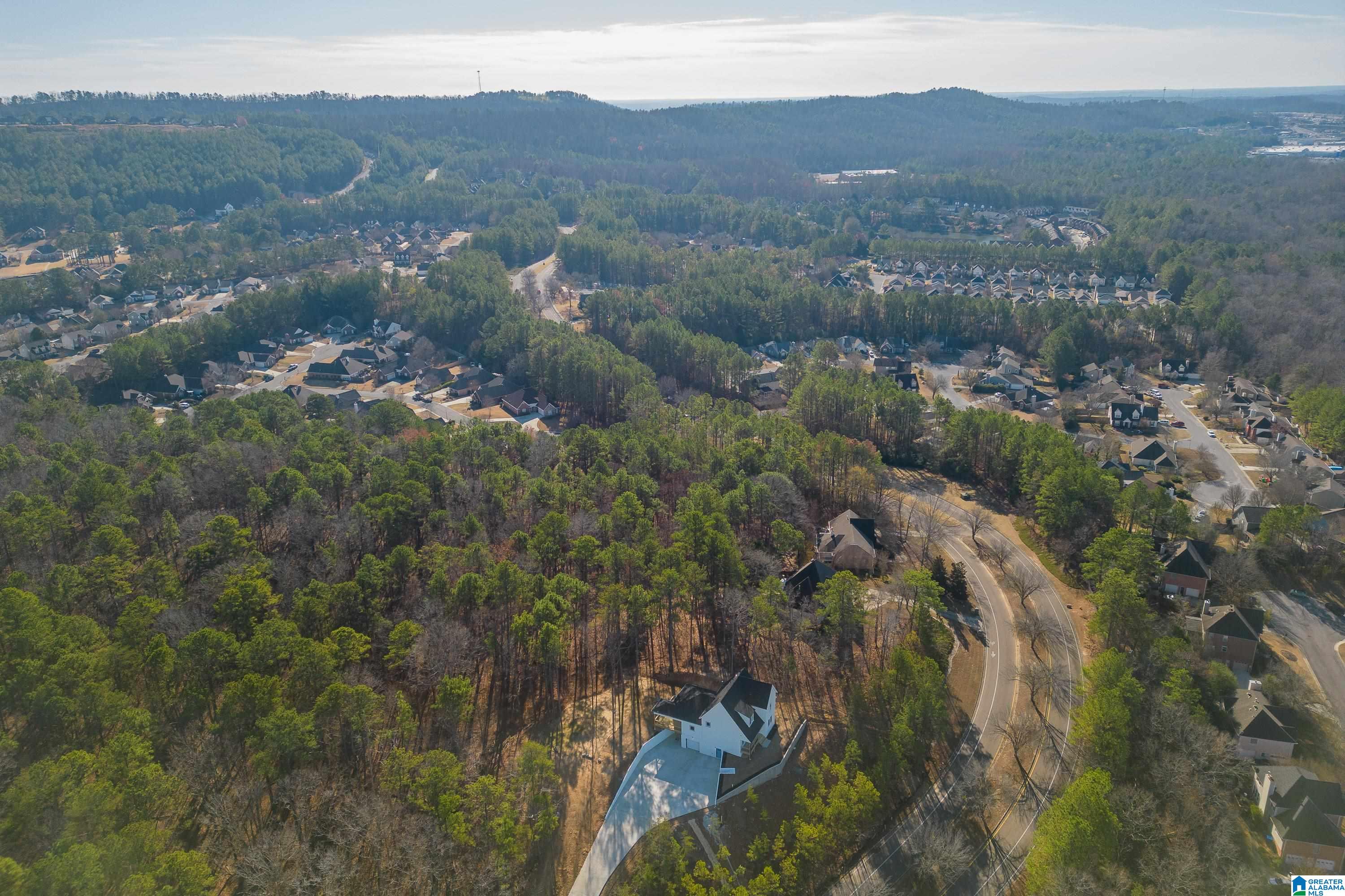 247 Weatherly Club Drive Alabaster, AL 35007 - Photo 43 of 51