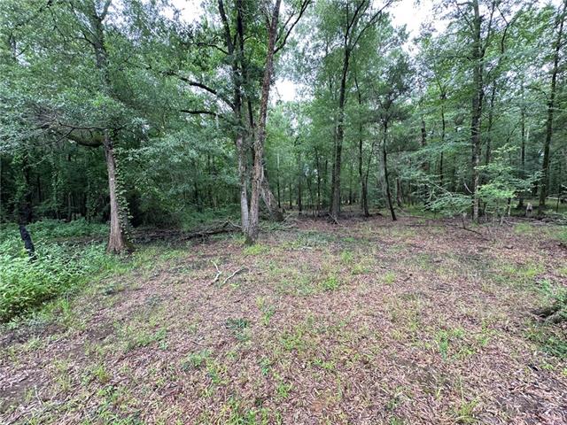 774 Claudes Road Colfax, LA 71417 - Photo 21 of 25