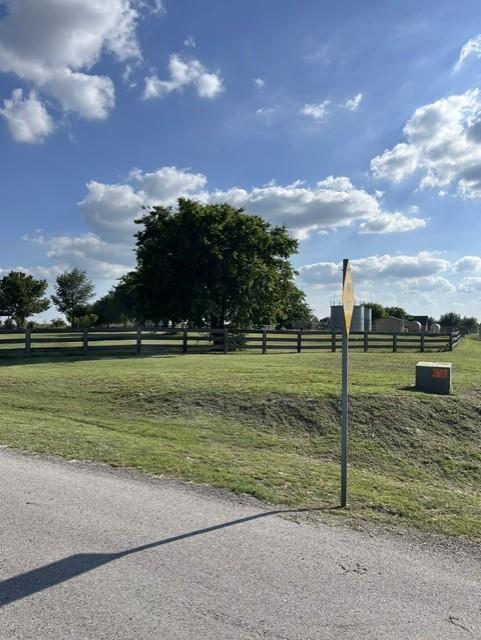 0 High Meadows Court Decatur, TX 76234 - Photo 4 of 6