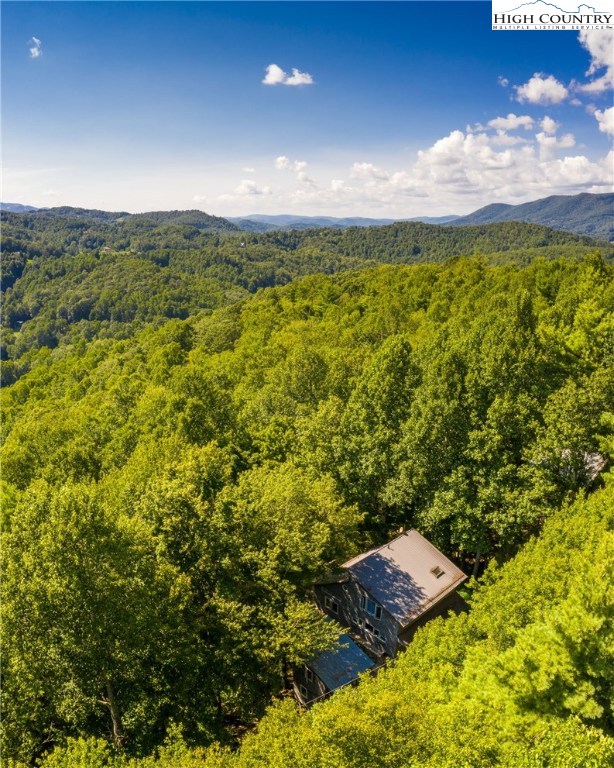 783 Rainbow Mountain Road Boone, NC 28607 - Photo 36 of 36