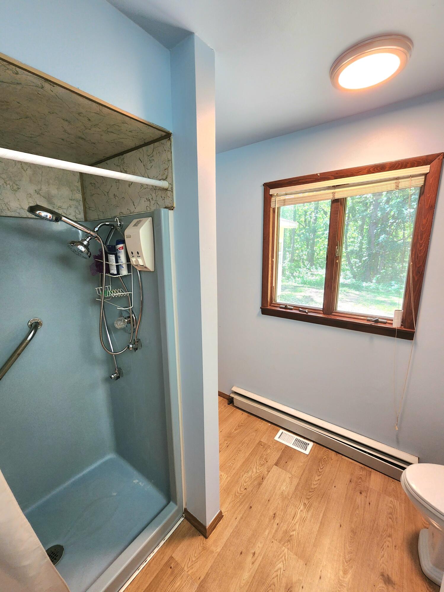 12865 Allison Road Milan, MI 48160 - Photo 34 of 95 20240606_114138