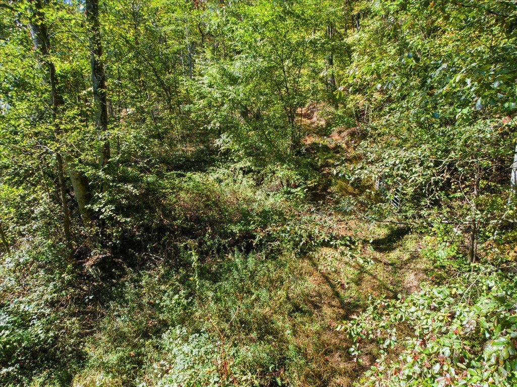 Tbd Allison Gap Road Saltville, VA 24370 - Photo 15 of 32 Gallery Image 15