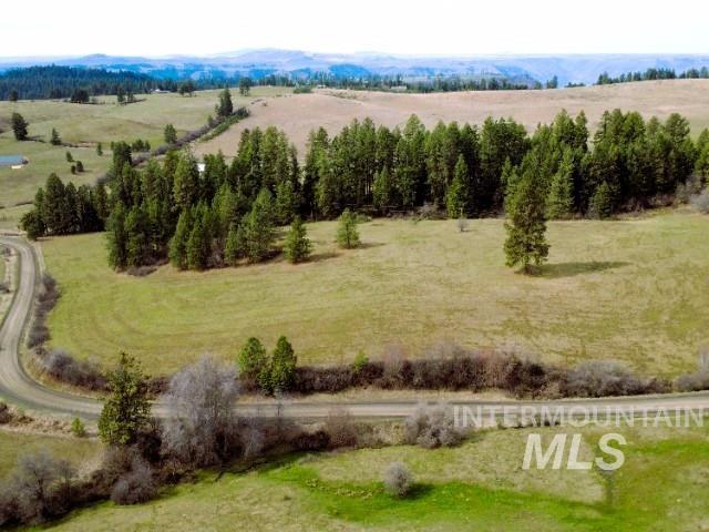 1188 Kidder Ridge Road Kamiah, ID 83536 - Photo 11 of 39 Aerial view of sparsely populated area
