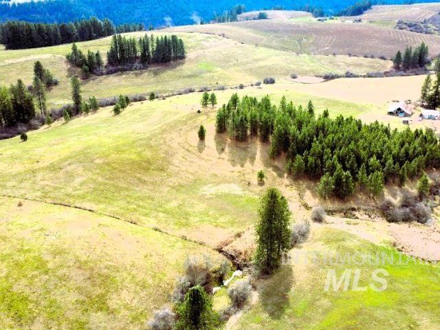 1188 Kidder Ridge Road Kamiah, ID 83536 - Photo 13 of 39 Aerial view of sparsely populated area