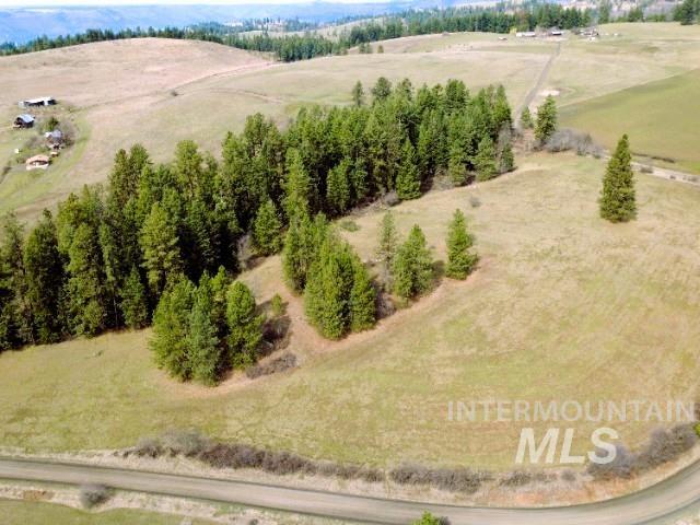 1188 Kidder Ridge Road Kamiah, ID 83536 - Photo 14 of 39 View of rural area