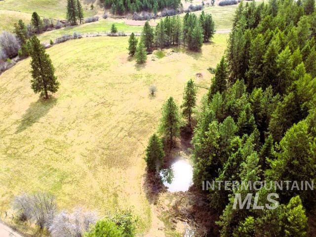 1188 Kidder Ridge Road Kamiah, ID 83536 - Photo 15 of 39 View of rural area