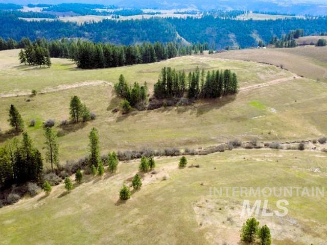 1188 Kidder Ridge Road Kamiah, ID 83536 - Photo 19 of 39 View of rural area