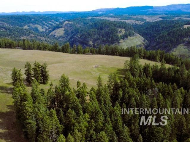 1188 Kidder Ridge Road Kamiah, ID 83536 - Photo 2 of 39 Aerial view of a heavily wooded area and a mountainous background