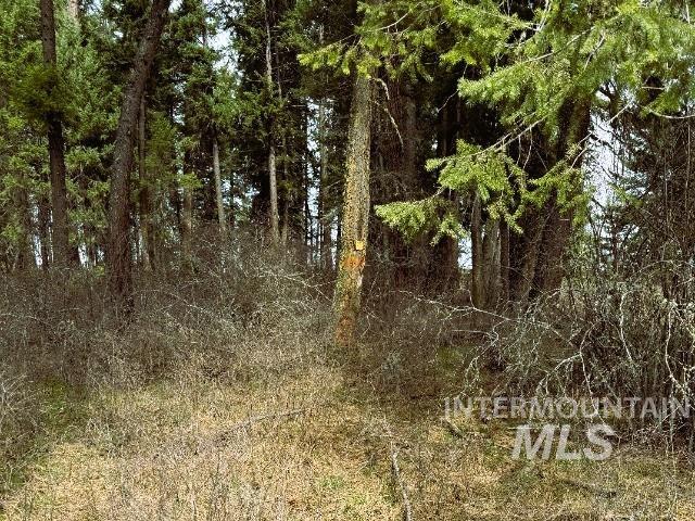 1188 Kidder Ridge Road Kamiah, ID 83536 - Photo 22 of 39 View of nature
