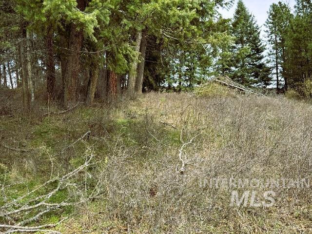 1188 Kidder Ridge Road Kamiah, ID 83536 - Photo 23 of 39 View of undeveloped land