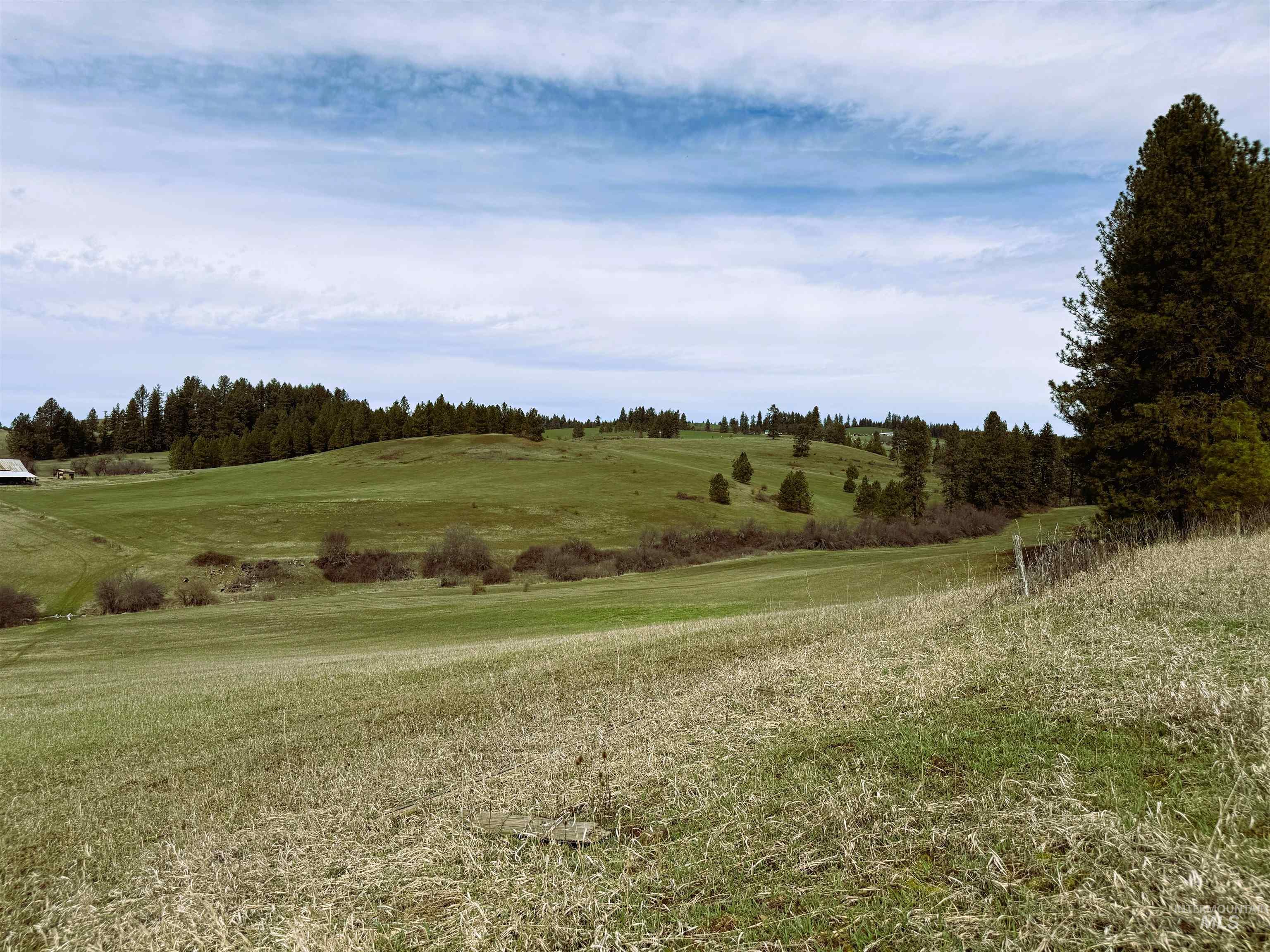 1188 Kidder Ridge Road Kamiah, ID 83536 - Photo 27 of 39 View of nature