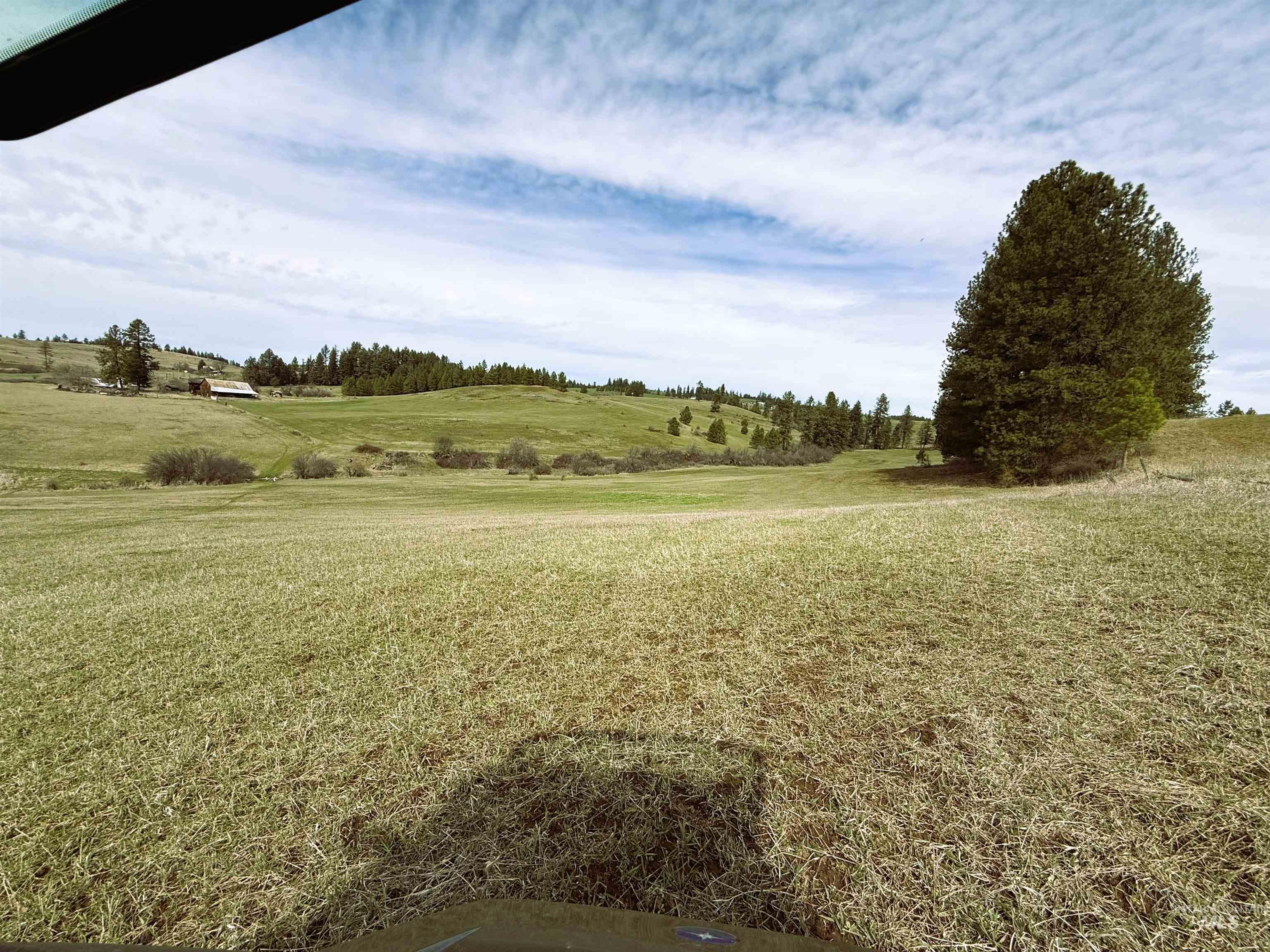 1188 Kidder Ridge Road Kamiah, ID 83536 - Photo 28 of 39 View of nature with rural landscape