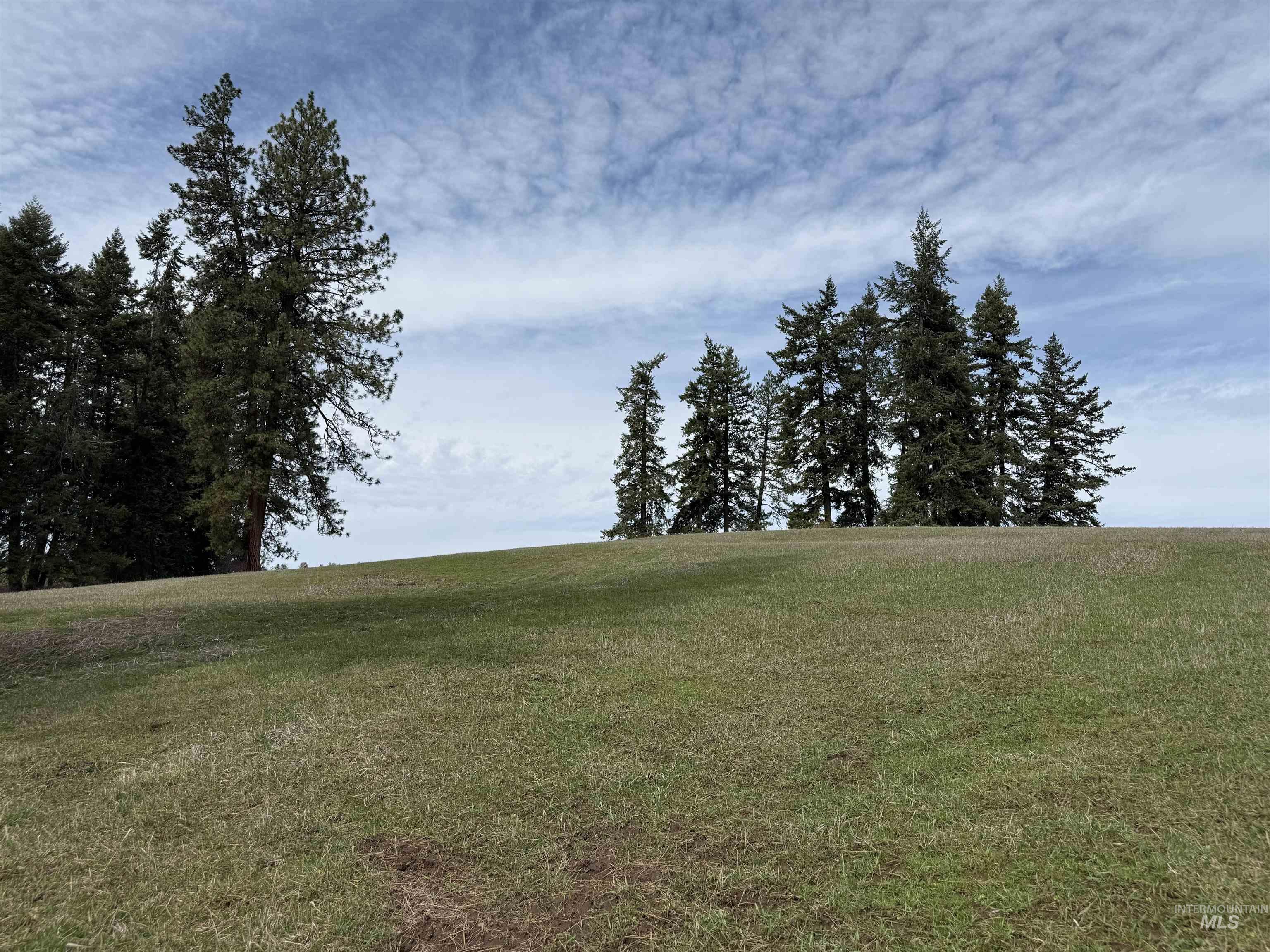 1188 Kidder Ridge Road Kamiah, ID 83536 - Photo 32 of 39 View of undeveloped land with rural landscape