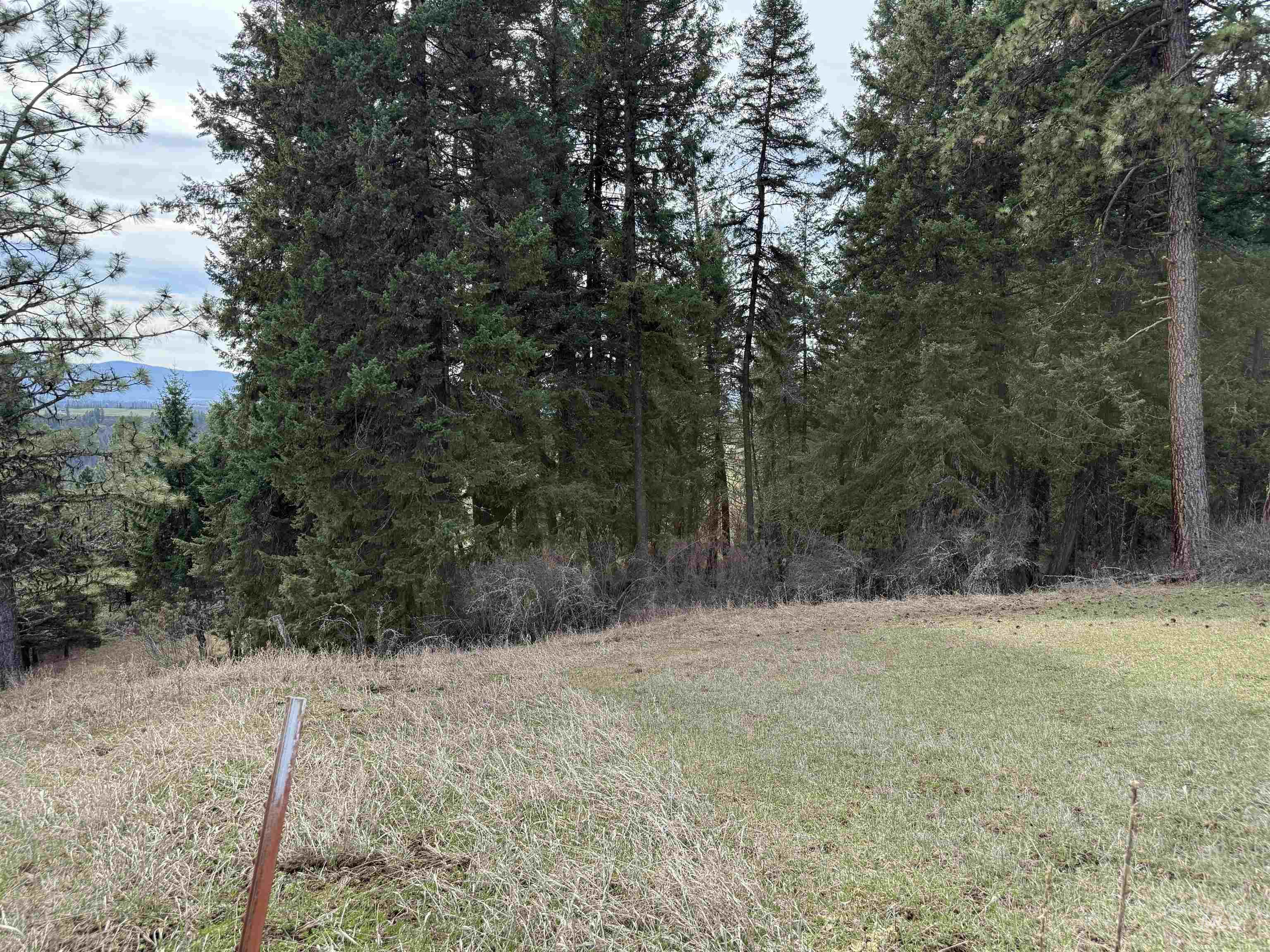 1188 Kidder Ridge Road Kamiah, ID 83536 - Photo 34 of 39 View of yard