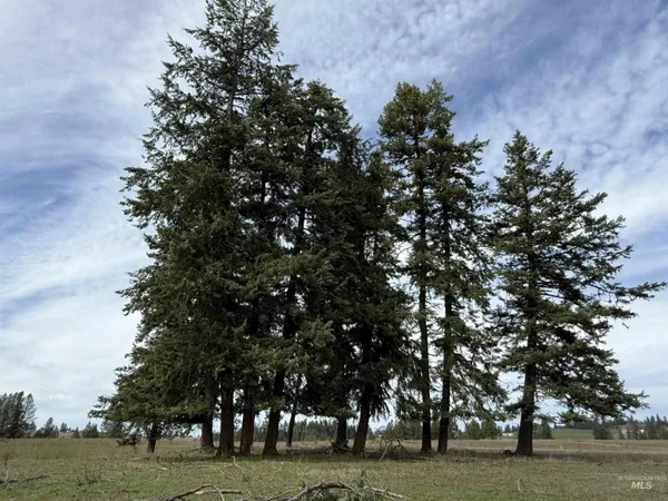 $1,261,995 | 1188 Kidder Ridge Road, Kamiah, ID 83536