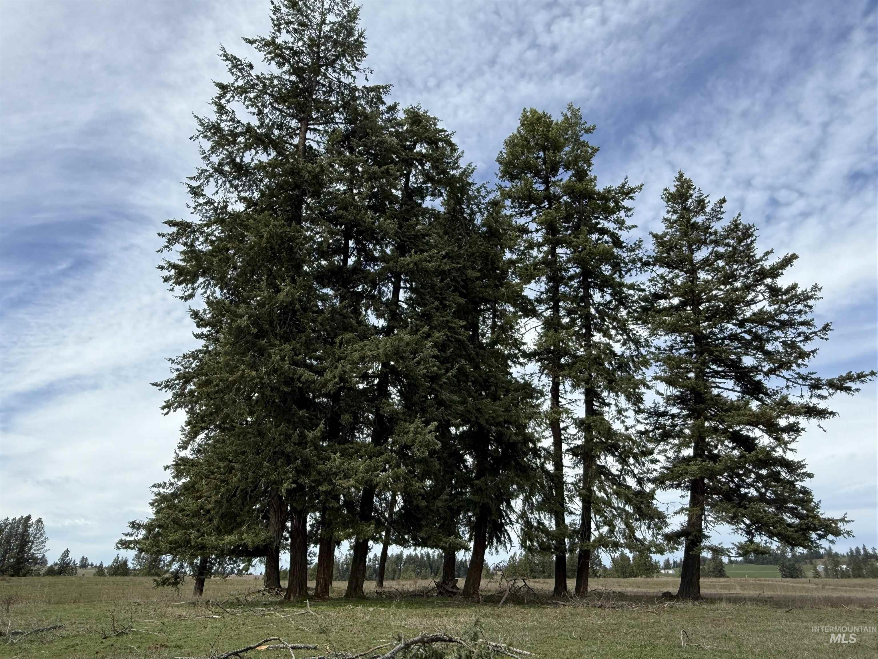 1188 Kidder Ridge Road Kamiah, ID 83536 - Photo 36 of 39 View of undeveloped land featuring rural landscape