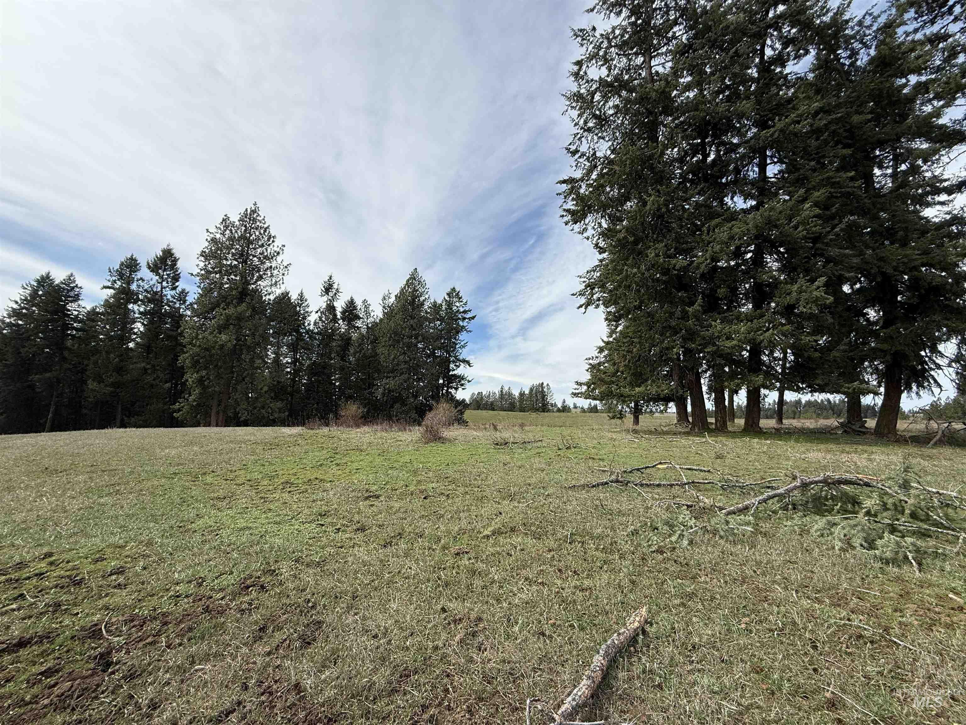 1188 Kidder Ridge Road Kamiah, ID 83536 - Photo 37 of 39 View of green lawn with a rural view
