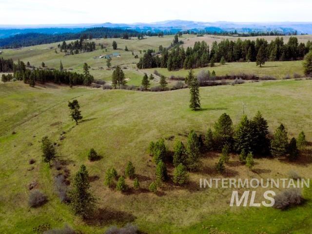 1188 Kidder Ridge Road Kamiah, ID 83536 - Photo 4 of 39 Aerial view of sparsely populated area
