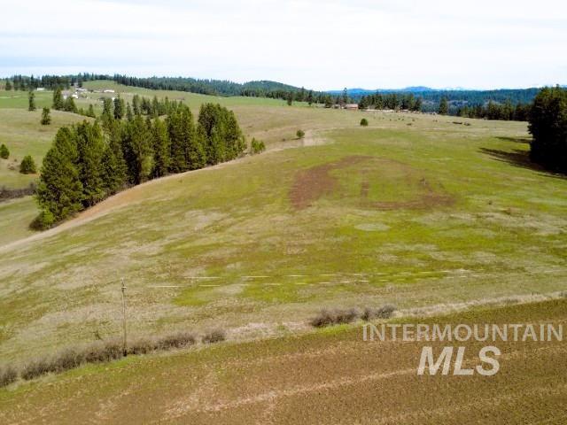 1188 Kidder Ridge Road Kamiah, ID 83536 - Photo 5 of 39 View of rural area