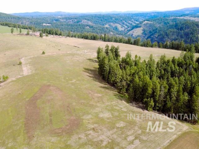 1188 Kidder Ridge Road Kamiah, ID 83536 - Photo 6 of 39 View of rural area featuring a forest