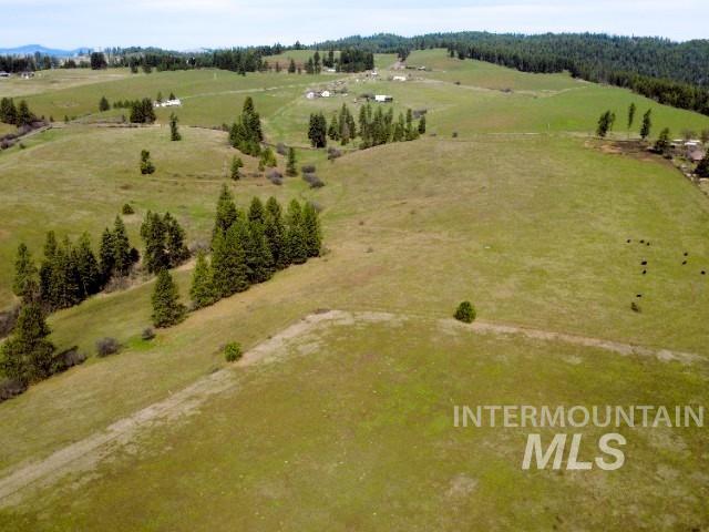 1188 Kidder Ridge Road Kamiah, ID 83536 - Photo 7 of 39 Overview of rural landscape