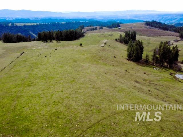 1188 Kidder Ridge Road Kamiah, ID 83536 - Photo 10 of 39 Overview of rural landscape featuring a mountain backdrop