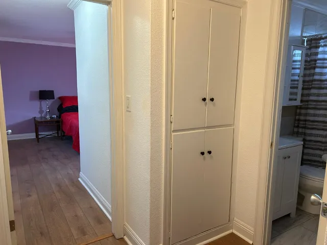 a view of a park with large trees